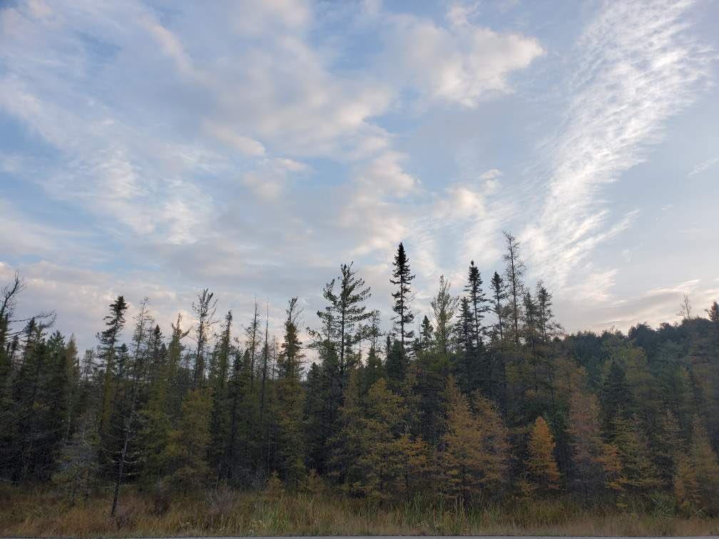 10:15: Boothβs Rock Trail, Lookout Trail and Track and Tower Trail are almost or already full.
Plan accordingly and try out some of our other wonderful trails!
Only park in designated parking places. https://t.co/PHJfmW5B41
