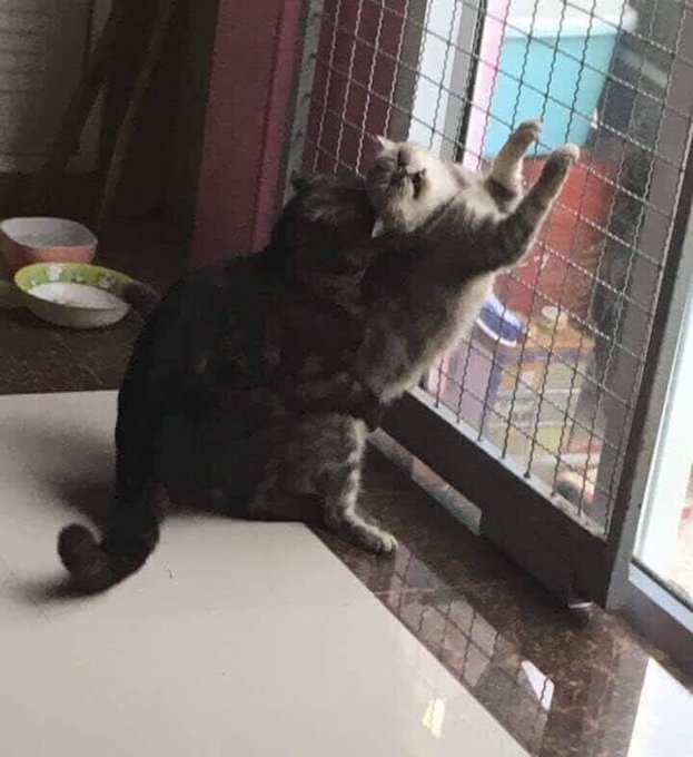 #netflixandchill https://t.co/YZue6EsZlc<a href="/tag/netflixandchill"class="tags">#netflixandchill</a>