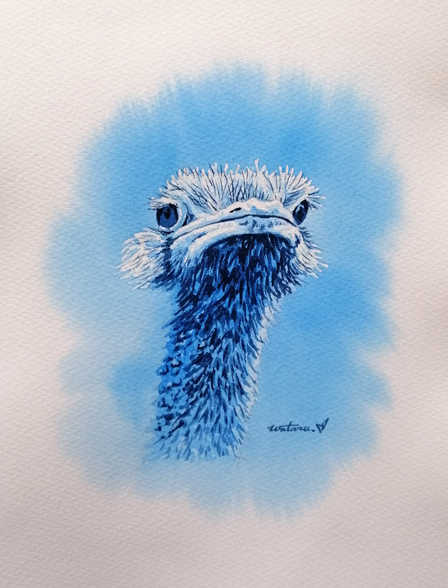 Twoucan ダチョウ の注目ツイート イラスト マンガ