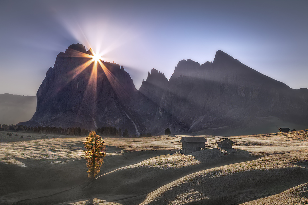 Photographer tweet media