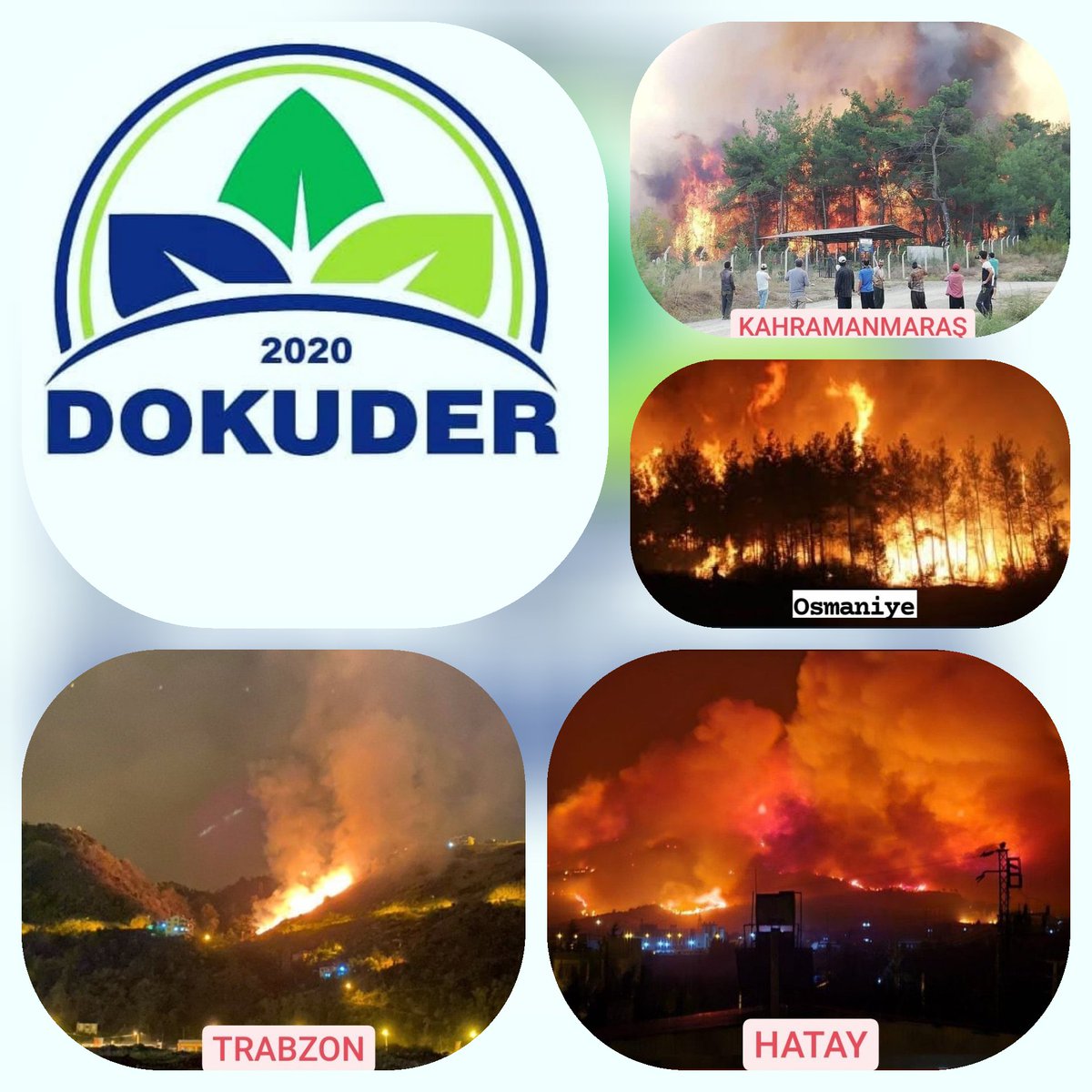 Türkiye’nin belirli bölgelerinde çıkarılan orman yangınlarının ülkemize ve doğal hayata verdiği geri dönüşü olmayan zararlardan dolayı çok üzgün olduğumuzu belirterek, bunlara sebebiyet veren vatan haini kişi yada kişileri kınıyoruz.... 
#Trabzon
#hatayyaniyor
#ormanyangını