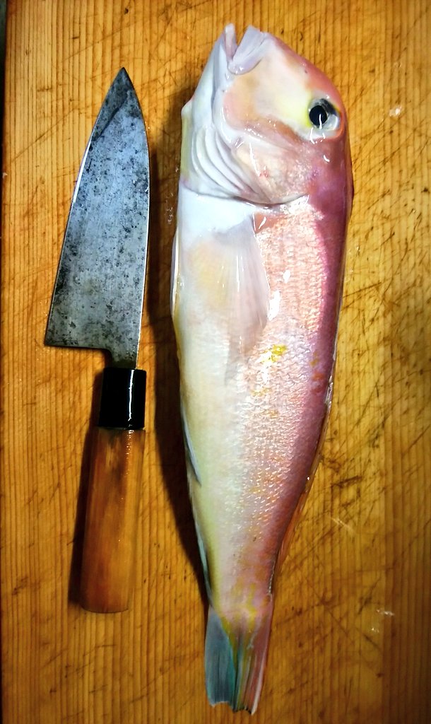 蒲鉾権八郎 エソ 高級かまぼこの原料にも 焼いても煮ても美味しいらしい