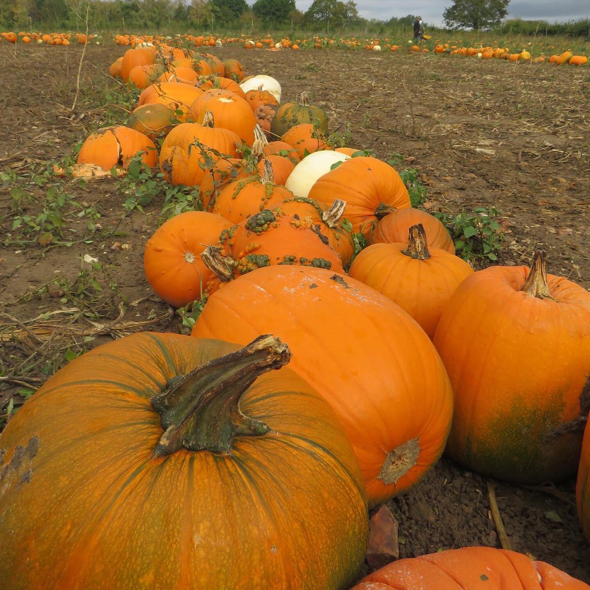 Claire 🥂🍾 tweet media