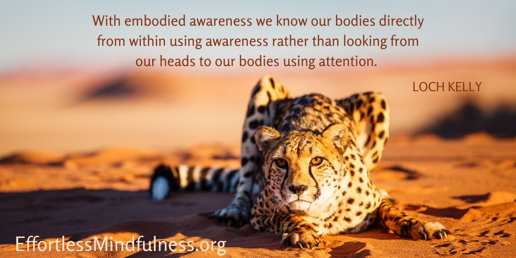 LochKelly1's tweet photo. Ready to make the shift from deliberate basic mindfulness practices to advanced mindfulness practices? Learn how with these simple yet advanced awakening practices from Loch Kelly.
Learn More at https://t.co/mIIv39TEmc
#awakening #advancedmeditation #mindfulness #embodied https://t.co/SjrFPgI5se