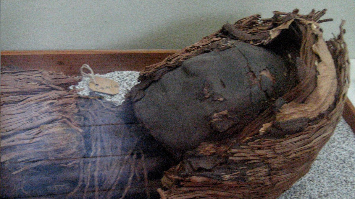 17. Chinchorro Mummies (~5050 BCE onward)Some of the oldest mummies in the world! They were found in Chile, and the techniques used to preserve them ranged from using natural dry air, treating individual body parts, applying coats of mud, and using bandages.