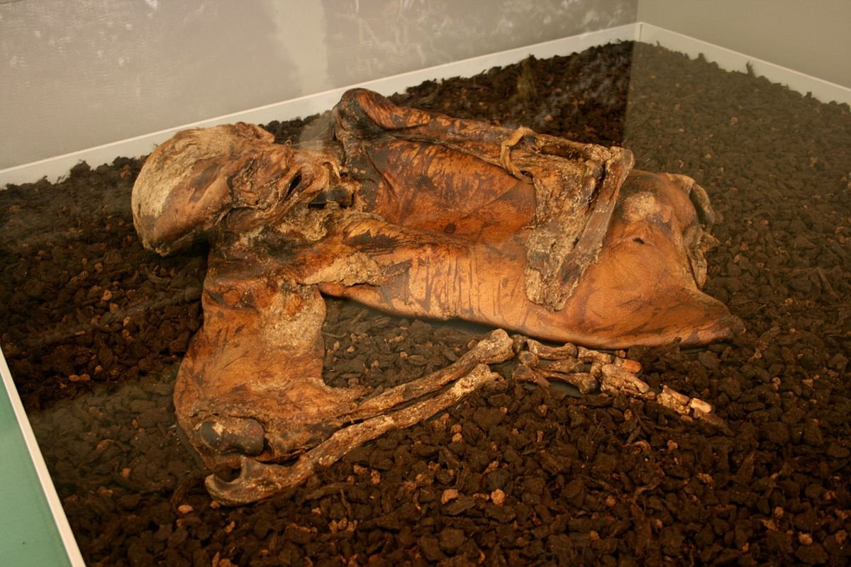 16. Lindow Man / Lindow II / Pete Marsh (~1c. CE)Found in an English peat bog in 1984. Like Grauballe Man, Lindow Man's death was extremely violent. He was strangled, beaten, and had his throat cut. His discovery led to a renewed interest in the study of bog bodies!