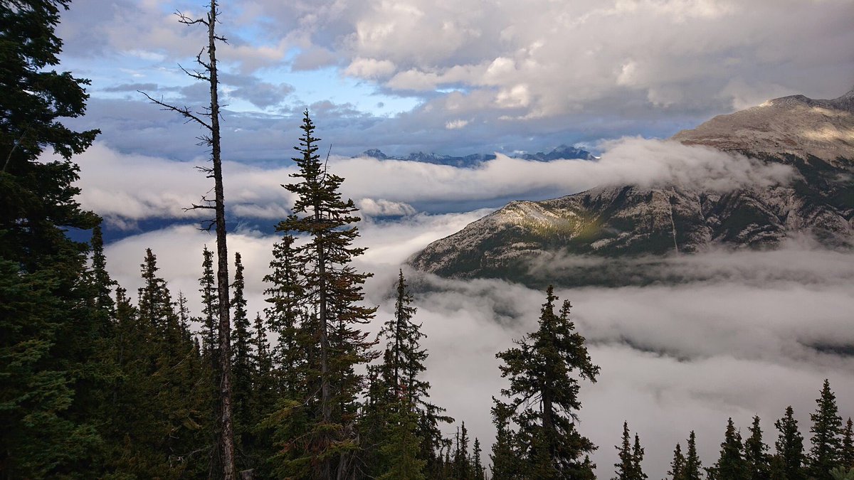 <a href="/pixlz/">Sharon Dale (she/they)</a>