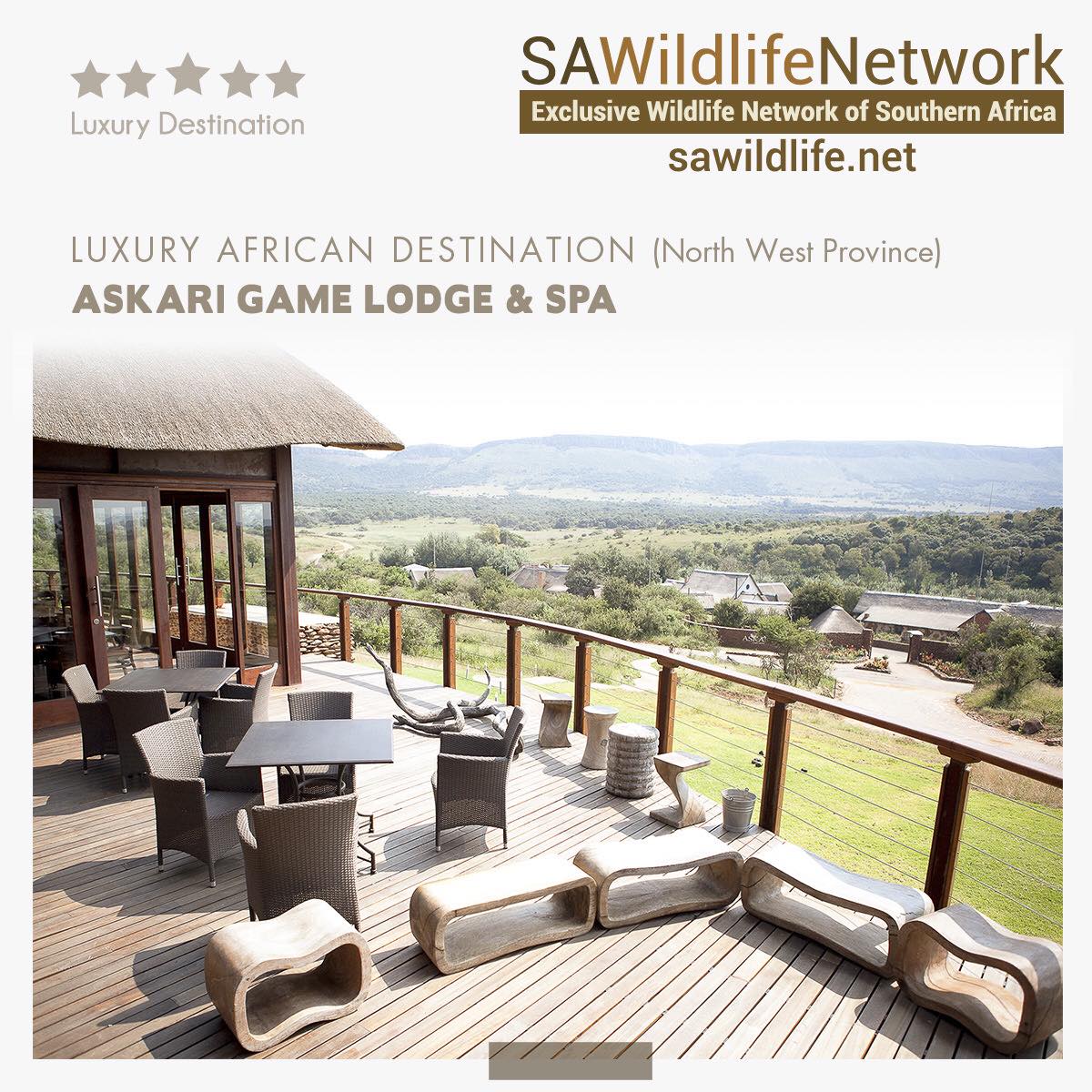 New wildlife destination added on the SA Wildlife Network!! 
We connect YOU with TOP wildlife and nature destinations, venues, ventures, wildlife services, and suppliers in Southern Africa.
For more info, visit: sawildlife.net/item/askari/ 
#SAwildlife #SAwildlifeNetwork