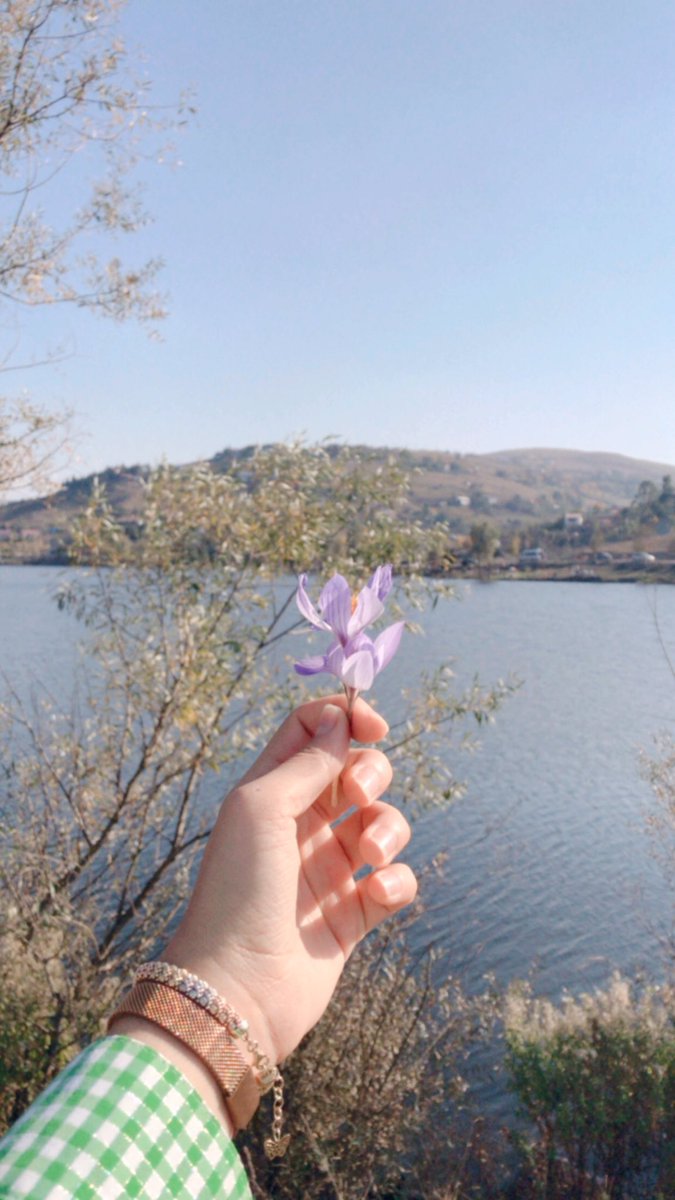 “Var Git Çiçeği” imiş. Sanırım git demenin en kibar hali..