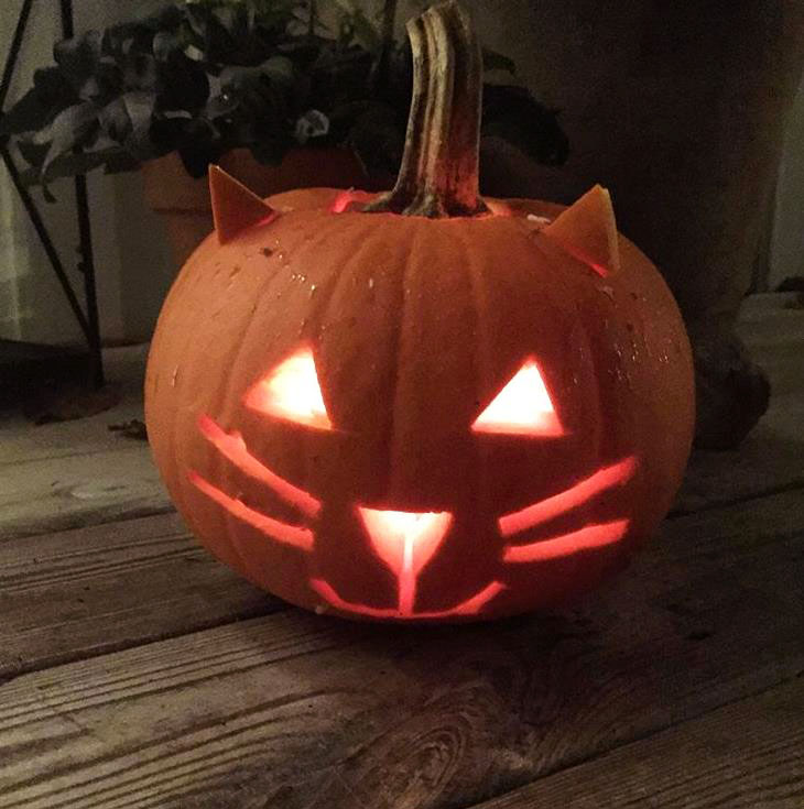MyCatToldMe's tweet photo. Spooky kitty pumpkin is the cutest pumpkin in the patch.
Thanks, @Teammjaui

My Cat Told Me: The Magical Journeys of BrambleBerry Rose 

#mycattoldme #cat #reincarnation #adoptdontshop #catsofinstagram #afterlife #rescuecat #petsofinstagram #instacat #instapet #catlife #kittens https://t.co/yDz05UhzEA