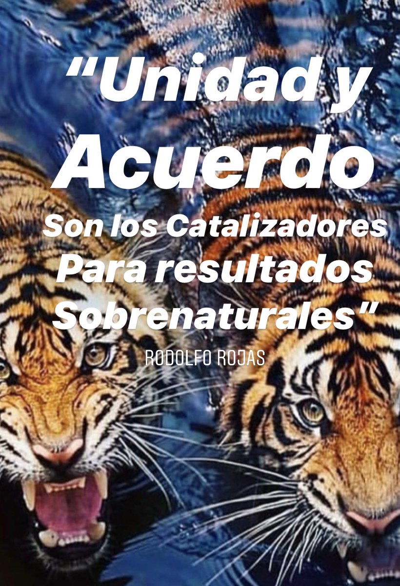1RodolfoRojas's tweet photo. Unidad y acuerdo!! #RodolfoRojas #Liderazgo #Discipulado #ImcGlobal #Unidad https://t.co/LD6bWQbsVL