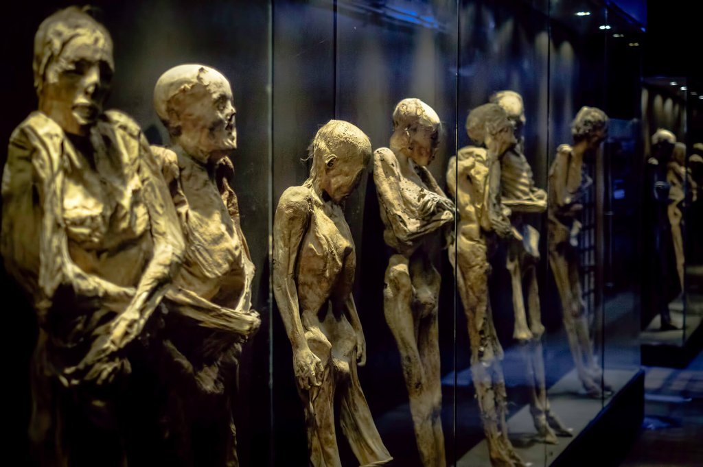 13. Guanajuato Mummies (1833 CE)Oof. This one's a little controversial because of the choice to display them (worth reading up on). Victims of a cholera epidemic in Mexico, an unmet burial tax led to them being disinterred. Definitely a lesson in ethics.