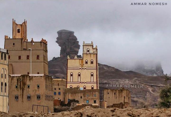الجنوب | South tweet media
