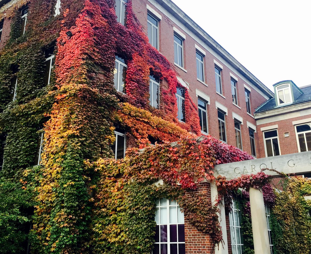 River Campus building covered in green, yellow, orange, and red leaves/ivy.