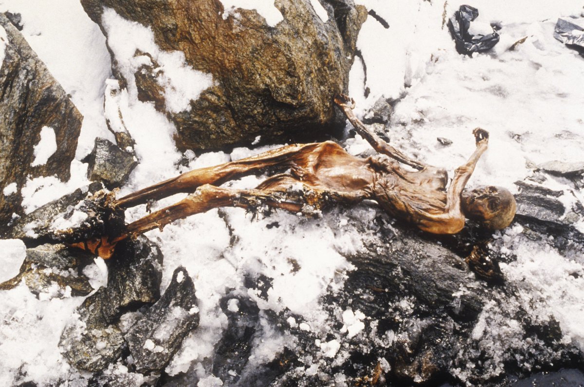 9. Ötzi / The Iceman (~3400-3100 BCE)Found in 1991 in the ice of the Ötztal Alps, Italy. Notable for the preservation of pretty much everything, including evidence of his murder. Ötzi's probably one of the most famous mummies ever found.