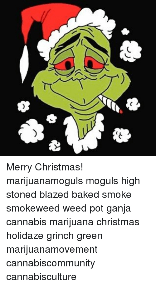 Merry Christmas! marijuanamoguls moguls high stoned blazed baked smoke smokeweed weed pot ganja cannabis marijuana christmas holidaze grinch green marijuanamovement cannabiscommunity cannabisculture pic.twitter.com/MPIgFeKuWr