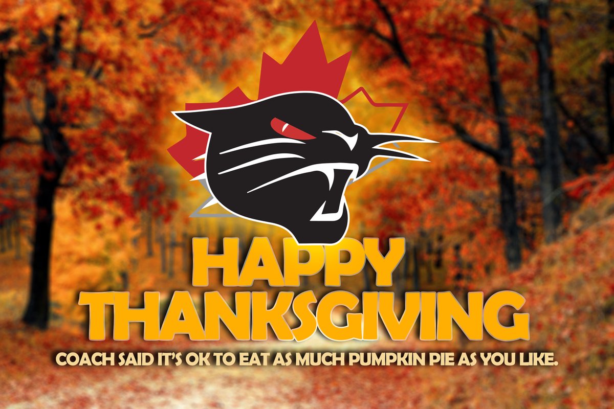nghawildcats tweet picture