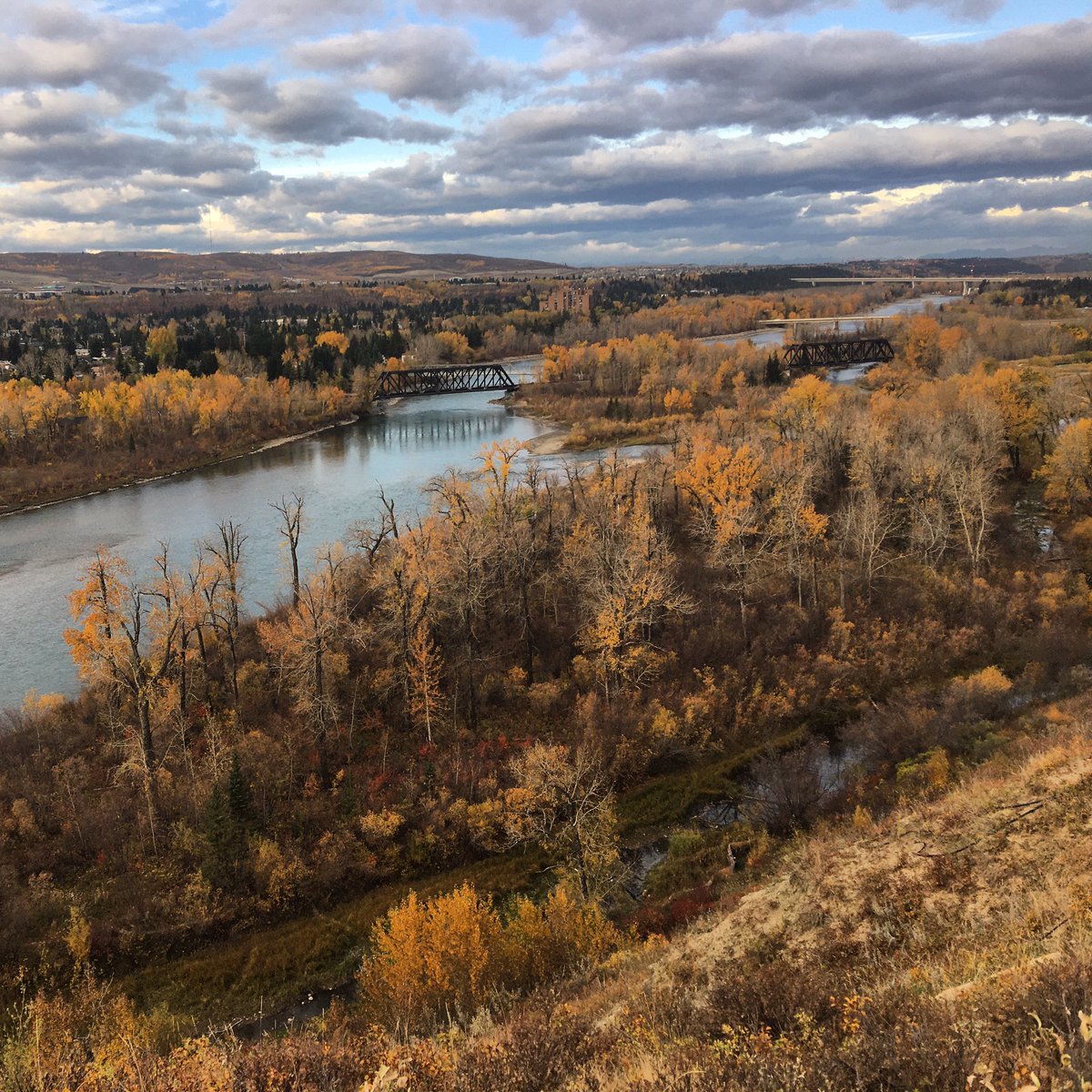 Raiders Jr A Lax tweet media