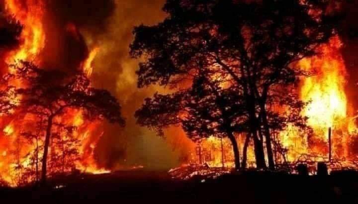 ibnabitareq's tweet photo. Please pray for Syria. Massive forest fires have killed two people and displaced many others. Ya Allah, protect them from all harm and reward them for what they’ve endured. https://t.co/s2MPsjsYan https://t.co/5oqt6AF3fW