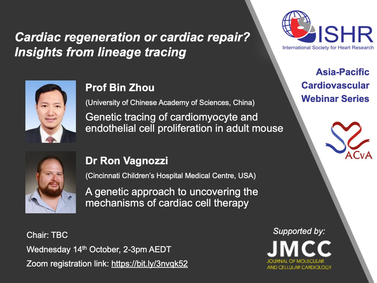 Dr Kate Weeks (@k8weeks) on Twitter photo Excited to announce this week's #ISHR webinar, featuring Prof Bin Zhou & Dr <a href="/VagnozziRJ/">Ron Vagnozzi</a>
Cardiomyocyte regeneration or cardiac repair? Insights from lineage tracing
2pm AEDT Wed 14th Oct (Tues in 🇺🇸)
Register bit.ly/3nvqk52
<a href="/OzCvA/">ACvA</a> <a href="/JMCCardiology/">Journal of Molecular and Cellular Cardiology</a> <a href="/ISHR_NAS/">ISHR North American Section</a> <a href="/ECI_ISHR/">Early Career Investigators @ISHR North America</a> Excited to announce this week's #ISHR webinar, featuring Prof Bin Zhou & Dr <a href="/VagnozziRJ/">Ron Vagnozzi</a>
Cardiomyocyte regeneration or cardiac repair? Insights from lineage tracing
2pm AEDT Wed 14th Oct (Tues in 🇺🇸)
Register bit.ly/3nvqk52
<a href="/OzCvA/">ACvA</a> <a href="/JMCCardiology/">Journal of Molecular and Cellular Cardiology</a> <a href="/ISHR_NAS/">ISHR North American Section</a> <a href="/ECI_ISHR/">Early Career Investigators @ISHR North America</a>