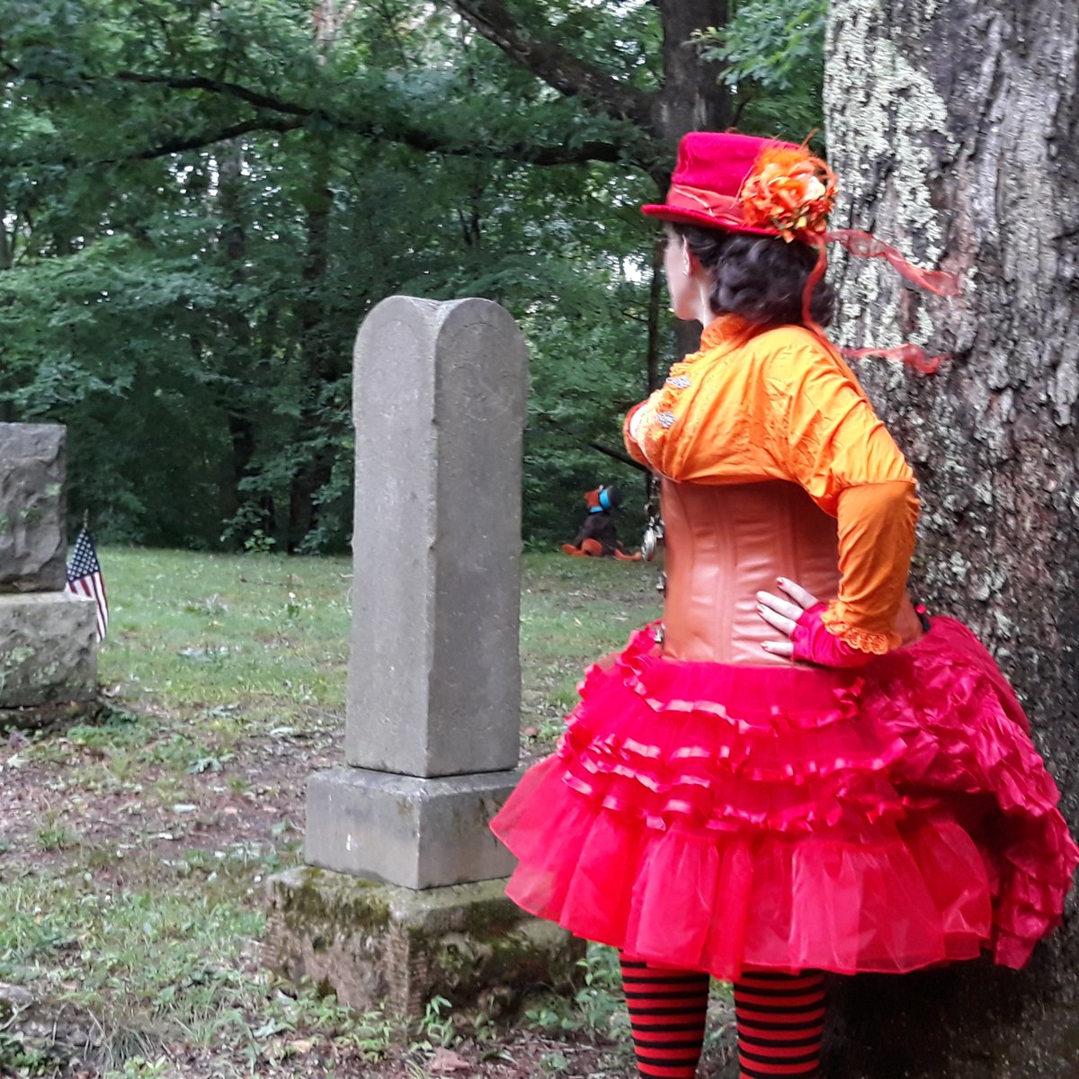 Boo. (Not taken for Halloween, but subject-appropriate. See alt text for description if you need it!) #halloweenisnotcancelled