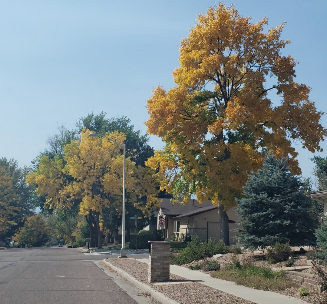 Jennifer tweet media