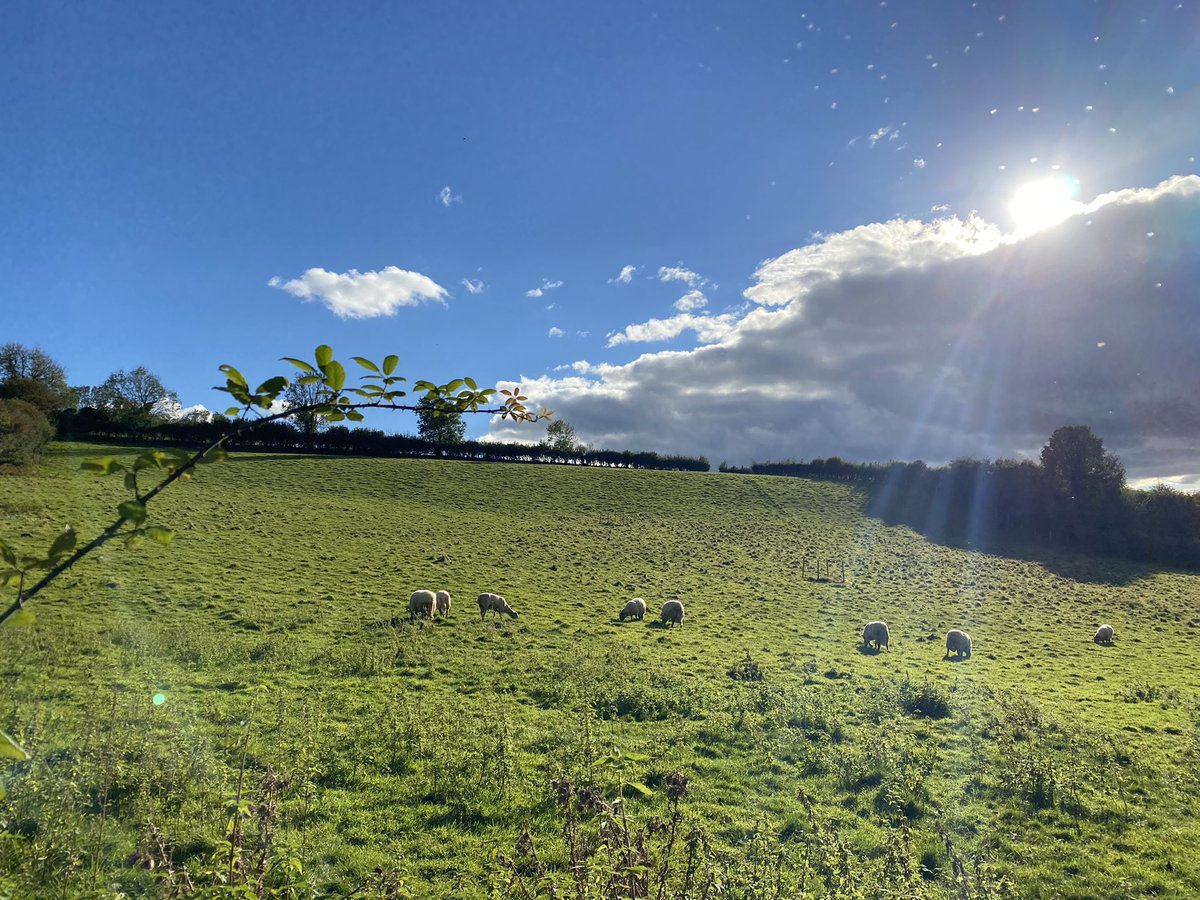 dan7ayers's tweet photo. A lovely Sunday stroll around Shipham this afternoon โ๏ธ๐ณ๐
#Walkies #Somerset #Shipham https://t.co/46Lm72tUvg