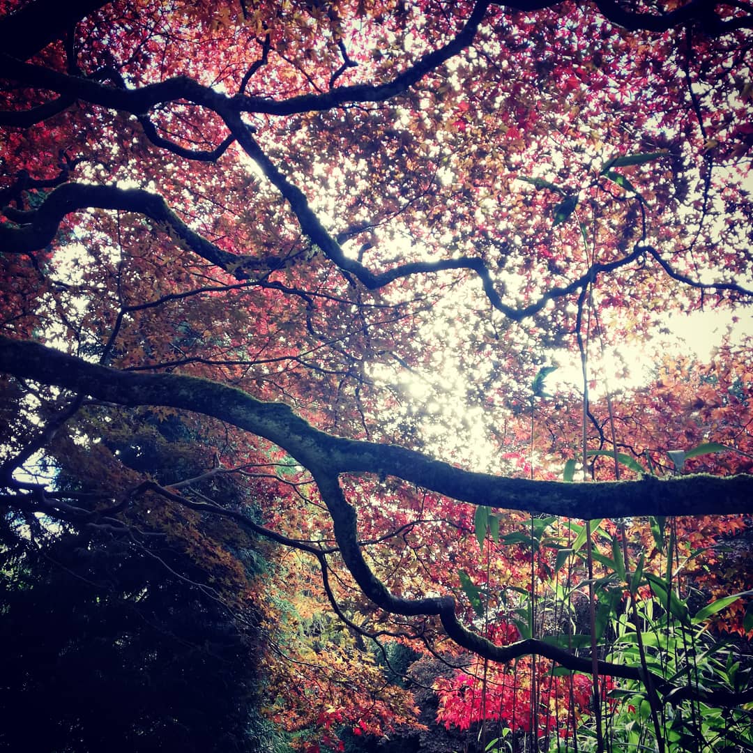 francesford2010's tweet photo. This year I wonder if instead of being a stand alone event, #WorldMentalHealthDay could be the beginning of a deeper journey into self, community and organisational care. Started the revolution today with a walk with my family...#foronemoreday https://t.co/A99VWEiXey