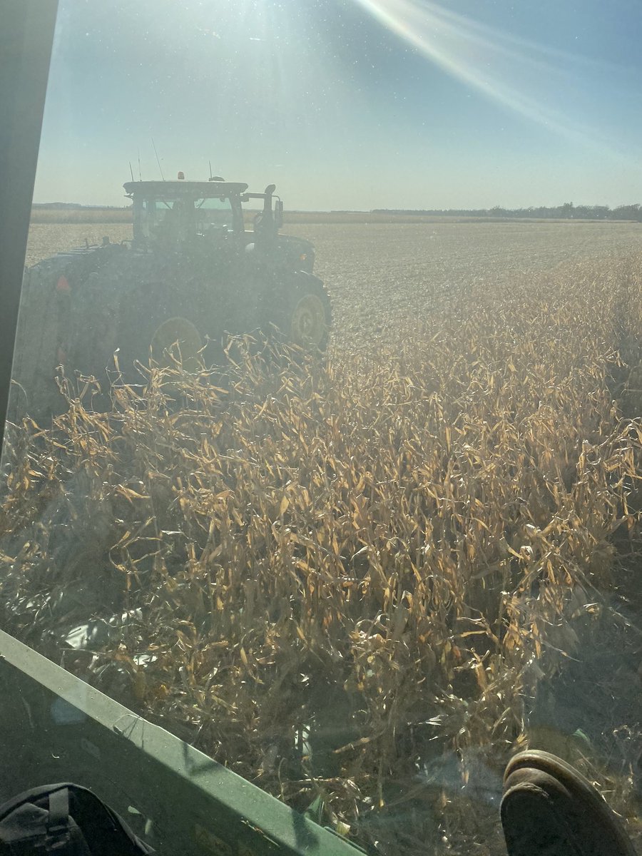 Ristad Farms tweet media
