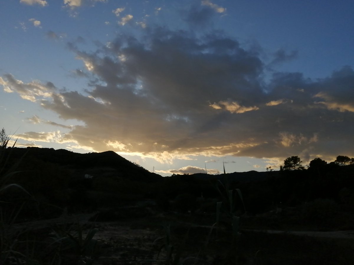 MeteoAdM's tweet photo. #Bonatarda des de la bassa de drenatge de la riera de #Subirans amb vistes el #turódeLourdes o de #CalAmar amb uns tímids #raigcrepusculars Segueix el fil 👇 https://t.co/dTSddN2EX8