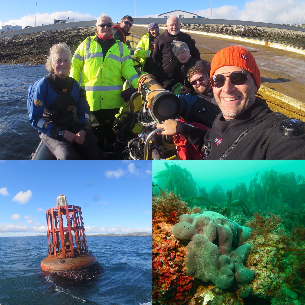 I did an introduction to @_Seasearch today for the #isleofman Sub-Aqua Club. We dived the Castletown Bell Buoy, recorded lots and filled in an Observer Form together afterwards. Some future Sea Searchers I’m sure! #seasearch #scuba #bsacdivers #manxnature 🇮🇲