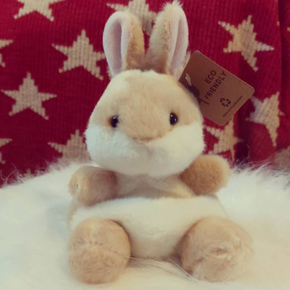 Happy Sunday all! Hope you have had an amazing weekend! #bunnies #homedecor #childrensitems