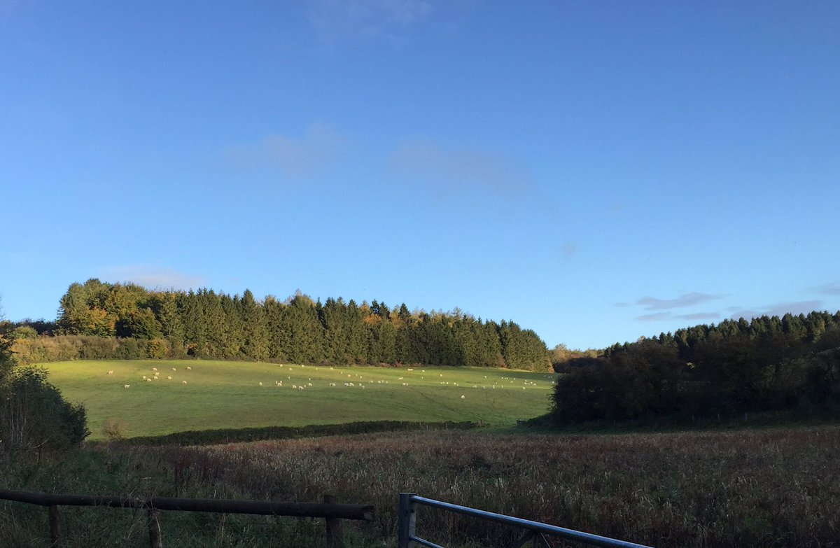 museumofwalking's tweet photo. Before midday today we completed the #Cheltenham &amp; #Cotswolds #Autumn #SlowMarathon - even though we took 3 mornings over it we felt shattered #Walk500 Hoping Nick from @countrywalking will join us soon - a pre-COVID we had to postpone. Next we’re planning the #Chilterns #Slow. https://t.co/a07K70rW6i