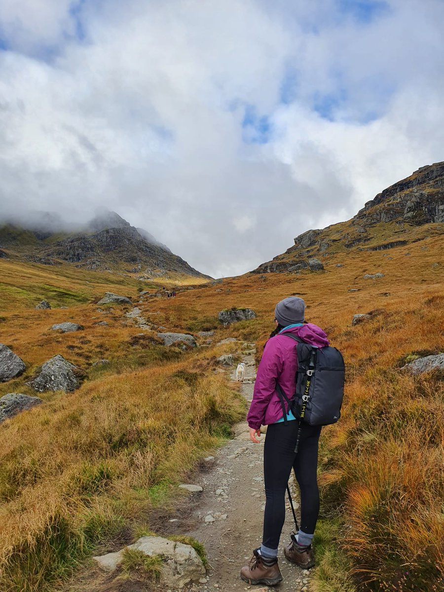 Kayleigh Reid tweet media