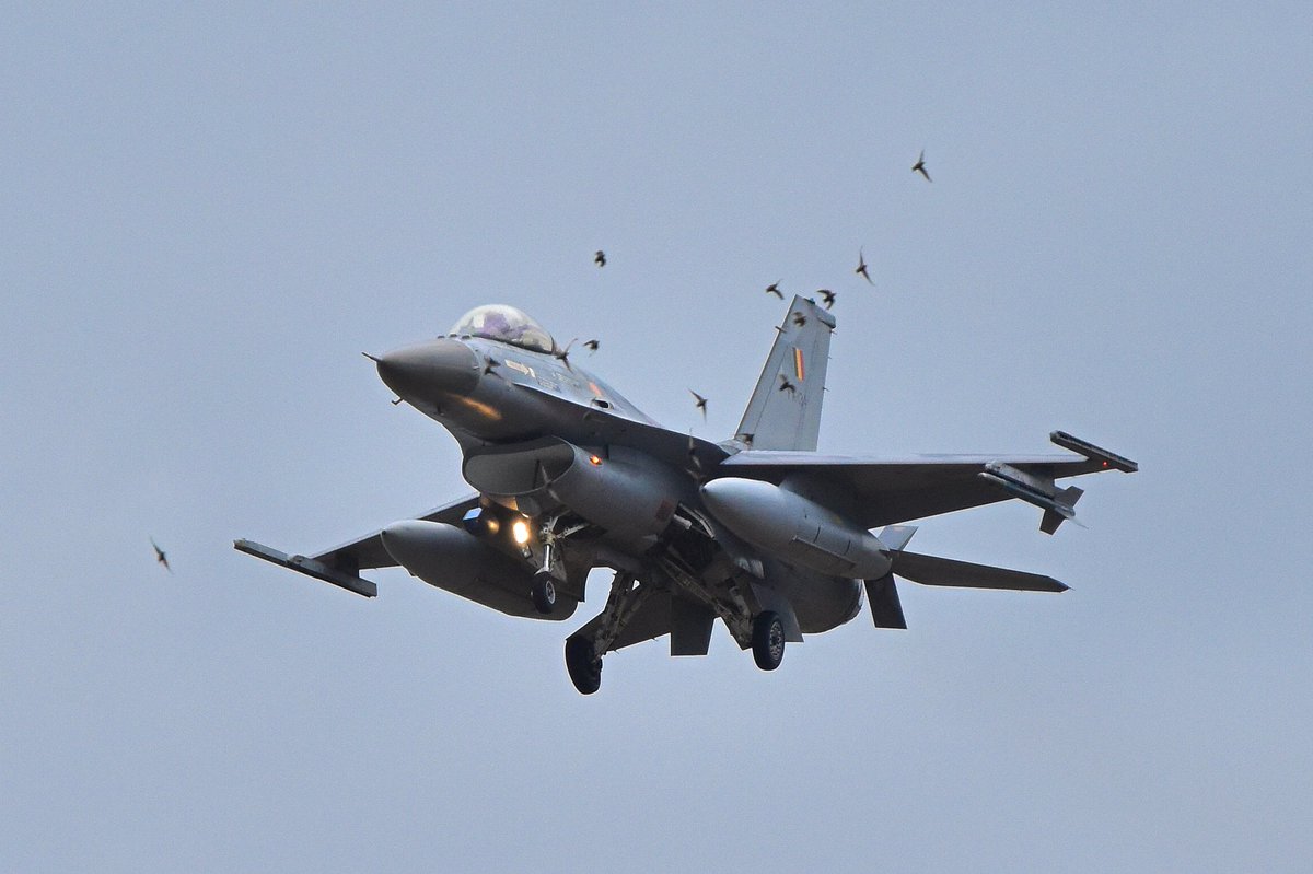 JorgenLammens's tweet photo. One from my visit @BeAirForce base #KleineBrogel on last Oct 8th. #BAF #F16 #FA97 had some luck with these birds...
#planespotting @avgeek__ #AvGeek #avgeeks #GeneralDynamics #Birdstrike #KeeBee ©eigenfoto https://t.co/MdYZGkLBMX