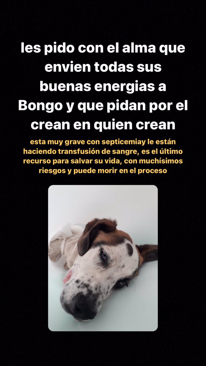 por favor los necesito