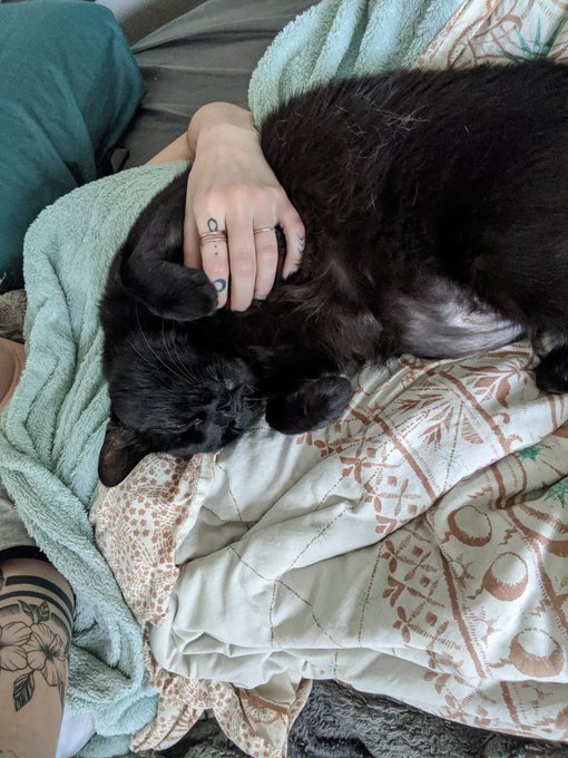 How it started // how it's going https://t.co/G6LwD2CN7g