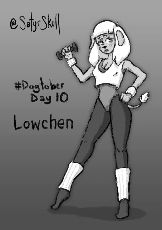 SatyrSkull's tweet photo. #dogtober2020 Day 10 - Lowchen! https://t.co/1nFEZ4imyF