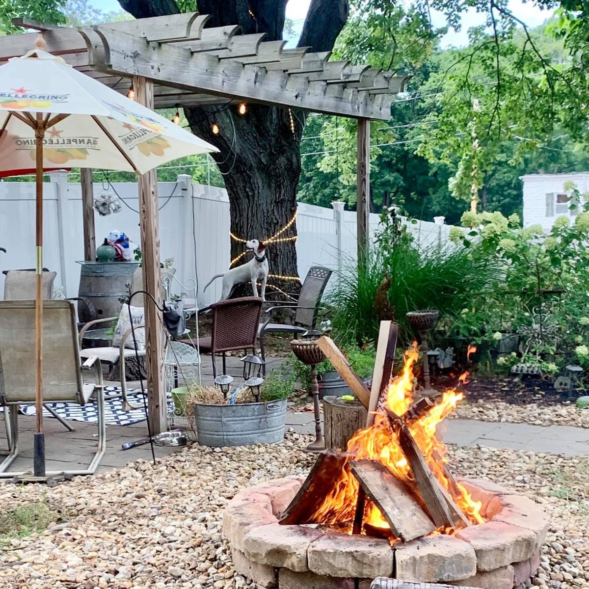 RelaxationWorks's tweet image. I spy with my little eye....
Can you find our newest pup Roxy in this photo?
Put a Squirrel emoji in the comments below.
#selfcarevibes #relaxationworks #dogswillhunt
