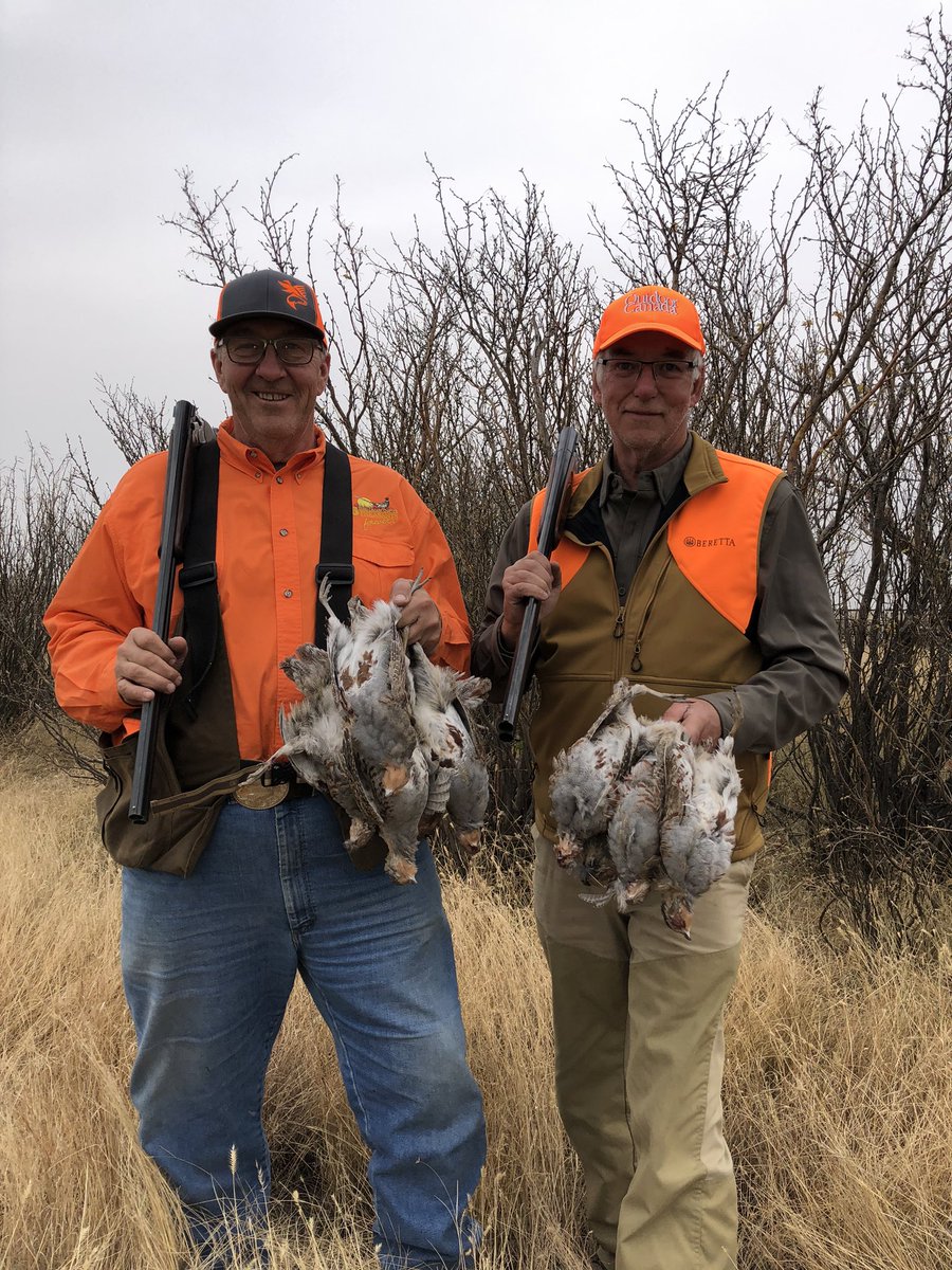 OutdoorBailey's tweet image. Wonderful couple days chasing Hungarian partridge and sharp-tailed grouse with the McCormick clan. #BerettaCanada #FirstLite #federalpremium @OutdoorCanada