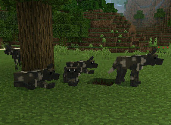 Geckoboy17's tweet photo. I will be posting some of the new features during the days so u can know more update, the african wild dogs now have new and better sitting animations in the #AWupdate! https://t.co/m6vGuPCF2e