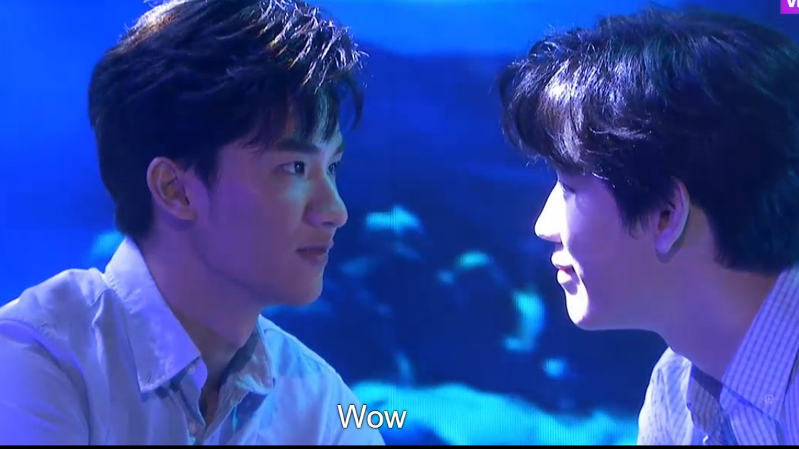 aquarium date upgraded version becoming wedding event that make us cry into a river