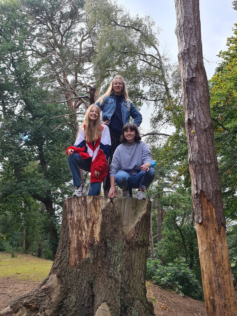 Adcote_Boarding's tweet photo. An afternoon walk up Nesscliffe Hill. Den building, log jumping, having a swing in the trees and getting some much needed fresh air and rejuvenation #iloveboarding #WalkingisBrilliant #familyfun #denbuilding #logjumping #Autumn #nesscliffe https://t.co/G0tQnDPZJl