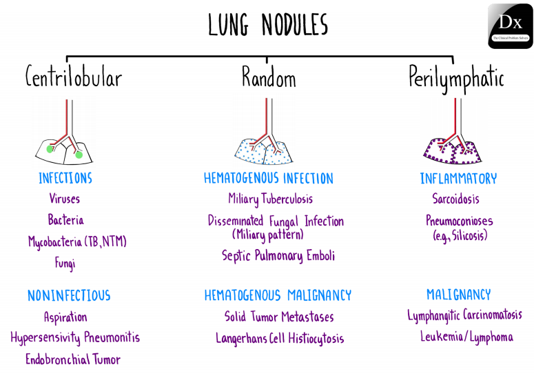 CPSolvers's tweet photo. Looking for a pattern...

#MedTwitter, we are excited to share our new schema and video on lung nodules by @NikitaSonaliyaD!
 
Find the video here: https://t.co/w0uBGeRmHq
And the schema on the app here: https://t.co/8ZbwOY7Qan https://t.co/l1fse3NrVX