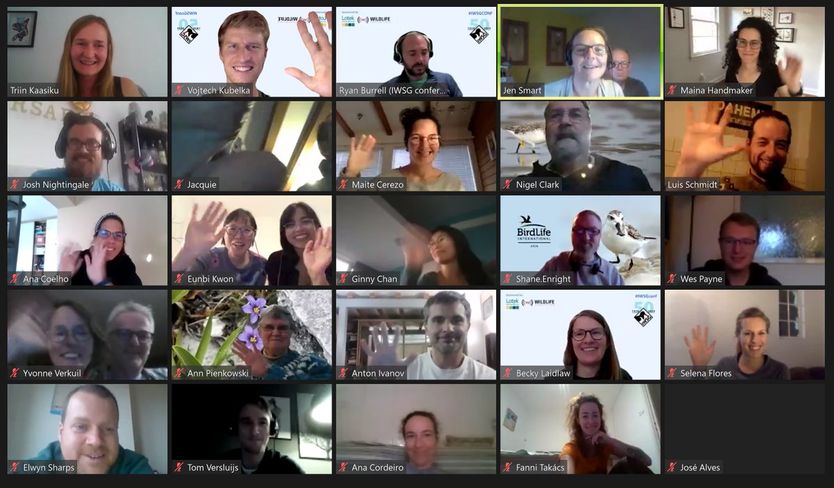 Although virtual, it has been a great event #IWSGconf about #shorebirds! Huge thanks to all organizers, especially to @TriinKaasiku and <a href="/RyanABurrell/">Ryan Burrell</a> as well as to all 150+ participants/presenters who have made this unique, enjoyable and scientifically inspiring event possible!!!