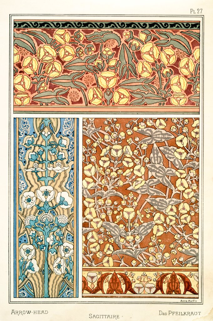 9/ Art Nouveau flower and plant designs from 1896."Arrow-head". Image 1 and 2 by M.P. Verneuil. Image 3 by Anna Martin.