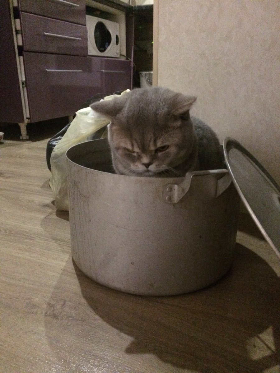 1999Myr's tweet photo. Вечно недовольный https://t.co/X2QZvvwDNR