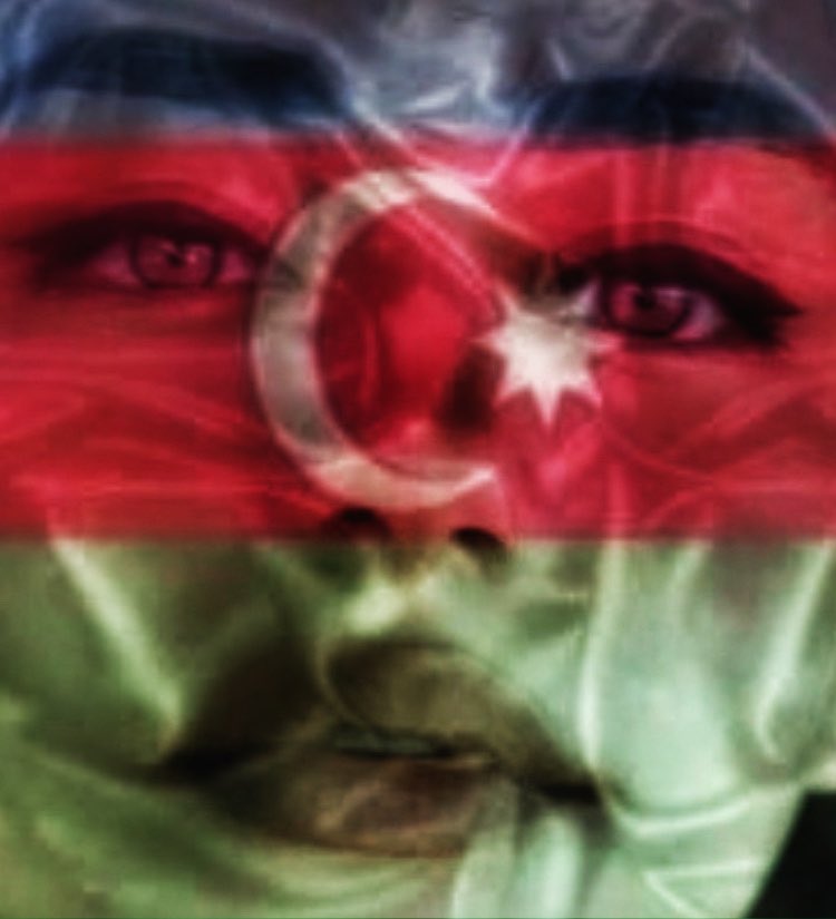 AyanNajafova's tweet photo. What we’ve learned about armenia after this situation:
#8     They study ancient history  from special-exclusive books that apparently inherited from the dinosaurs, since the rest of the world is stupid AF and study history from some wrong textbooks
 🇦🇿 #KarabakhisAzerbaijan https://t.co/2clHlRCM57