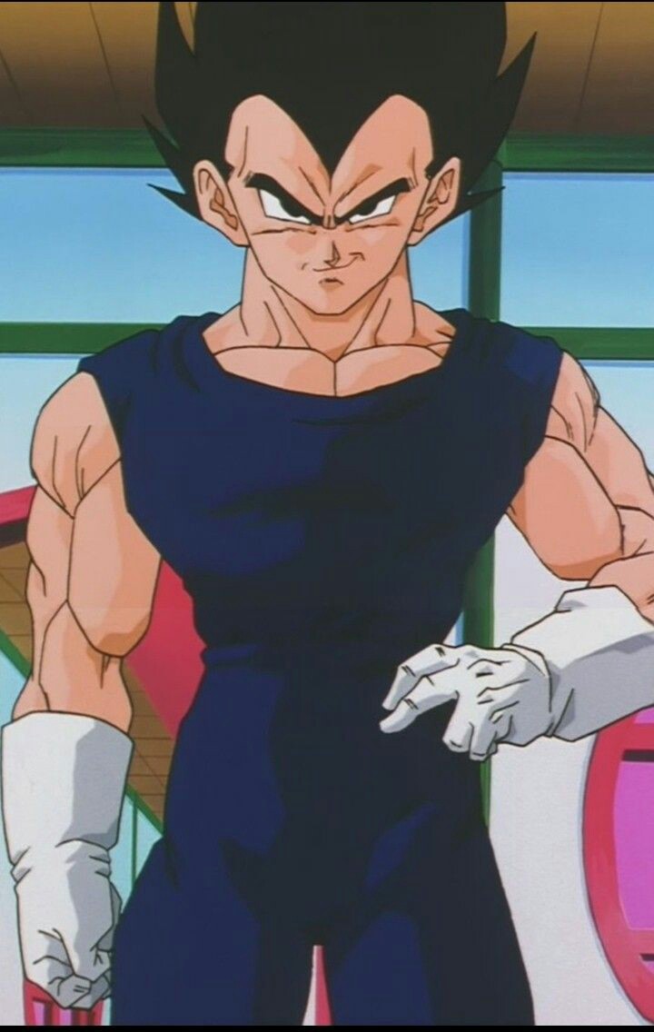 Dragon Ball ☆ Images Z/Super/GT on X: Vegeta ☆ Saga Majin Boo ☆ 1996 ☆ # DragonBallZ  / X