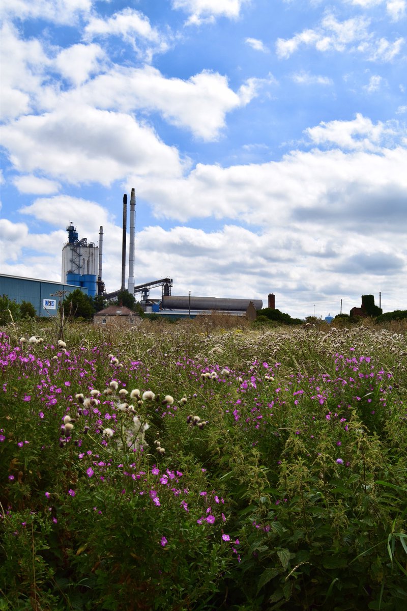 Long Sandall is surprisingly dramatic